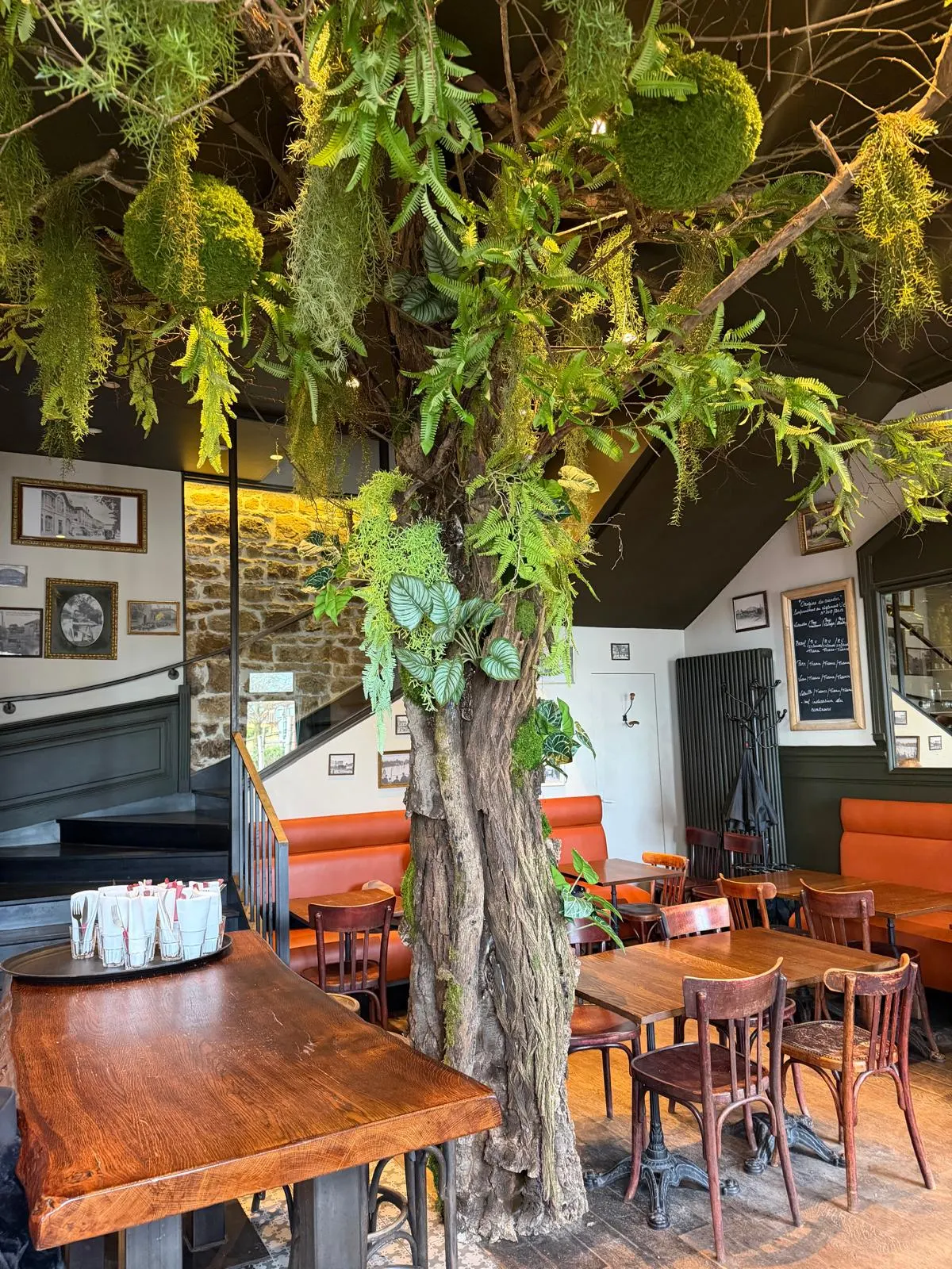 La salle et son grand arbre végétalisé, banquettes en cuir et photos anciennes du village