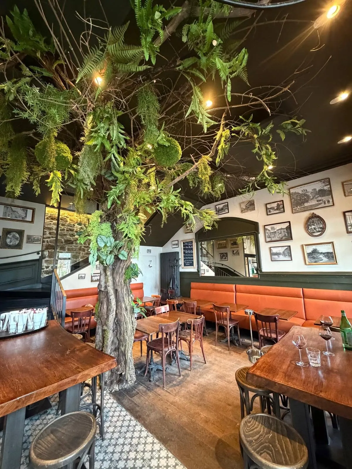 La salle du bar et son arbre végétalisé, banquettes en cuir orange et photos anciennes du village